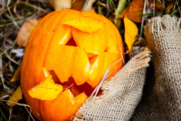 Halloween pumpkin — Stock Photo, Image