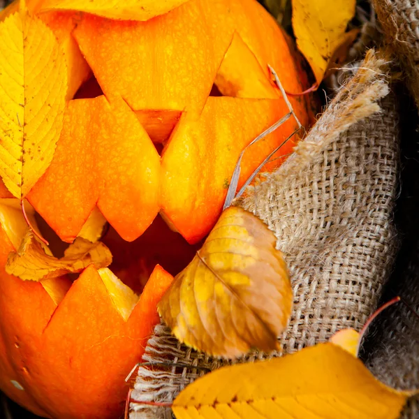 Halloween pumpkin — Stock Photo, Image