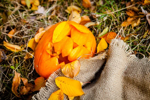 Halloweenpumpa — Stockfoto