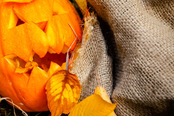 Halloween pumpkin — Stock Photo, Image