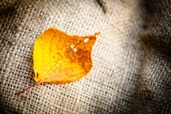 Hösten lämna på säckväv — Stockfoto