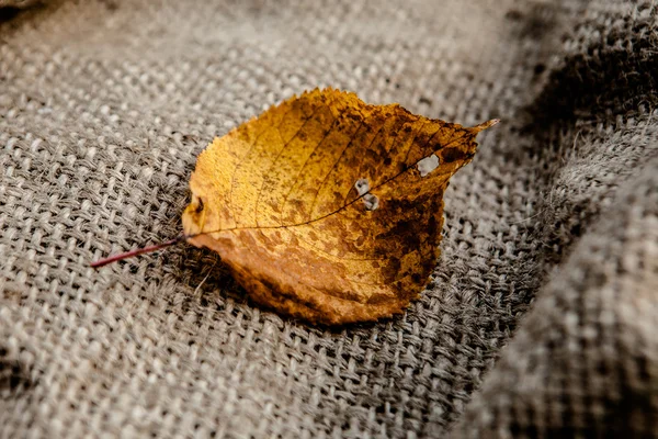 Hösten lämna på säckväv — Stockfoto