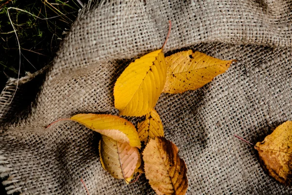 Folhas de outono em pano de saco — Fotografia de Stock