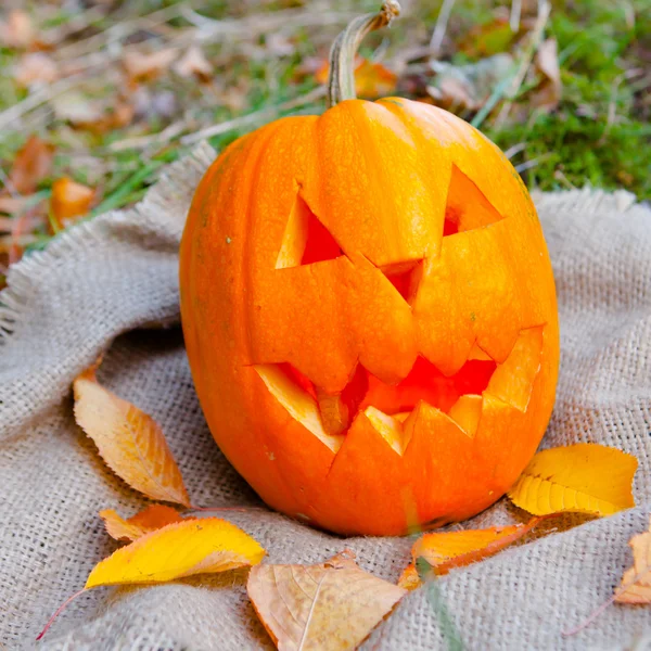 Zucca di Halloween — Foto Stock