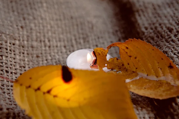 Folhas de bordo secas e luz de vela quente — Fotografia de Stock