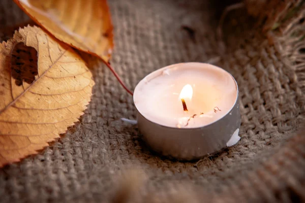 Foglie d'acero secche e luce calda della candela — Foto Stock