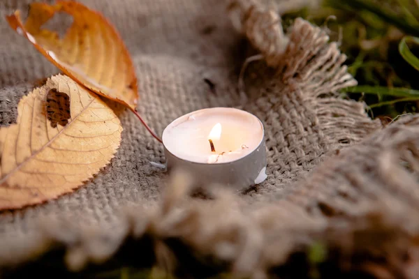 Dry maple leaves and warm candle light — Stock Photo, Image