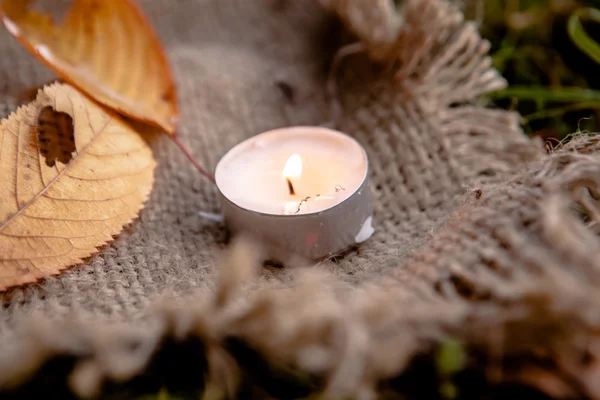 Dry maple leaves and warm candle light — Stock Photo, Image