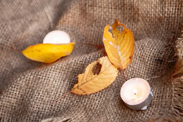 Droge esdoorn bladeren en warme kaarsen — Stockfoto