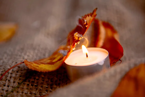 Folhas de bordo secas e luz de vela quente — Fotografia de Stock