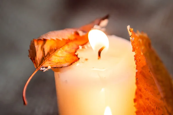 Folhas de ácer seco e velas quentes luz — Fotografia de Stock