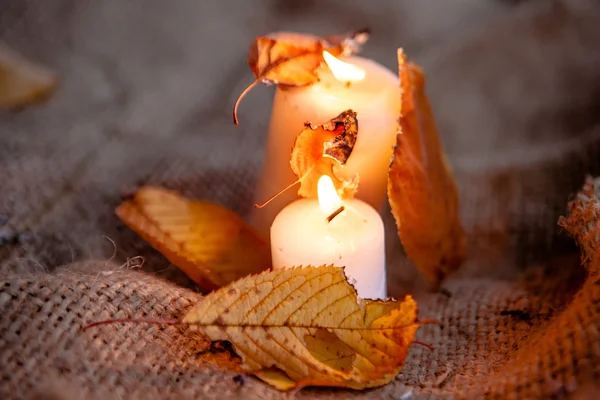 Folhas de ácer seco e velas quentes luz — Fotografia de Stock