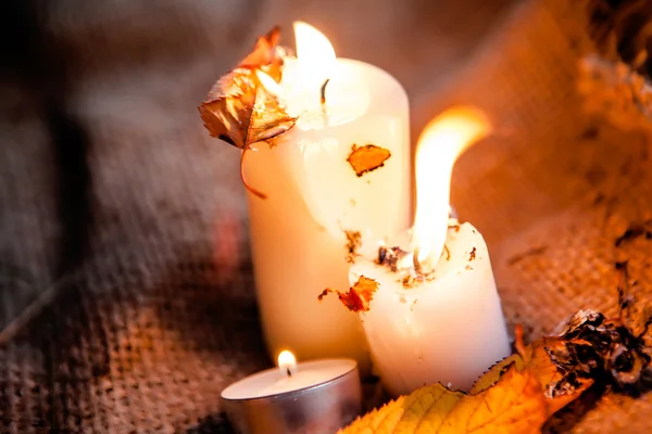 Dry maple leaves and warm candles light — Stock Photo, Image