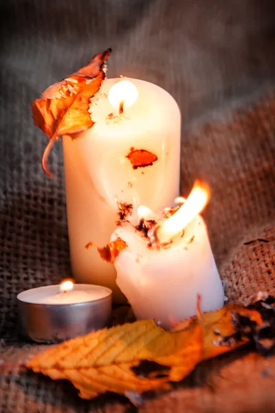 Foglie d'acero secche e luce calda delle candele — Foto Stock
