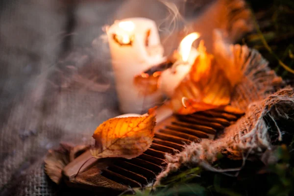 Decoração natural para férias de outono — Fotografia de Stock