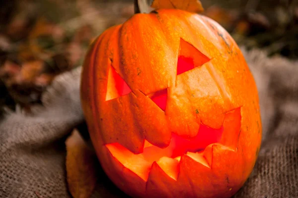 Zucca di Halloween — Foto Stock