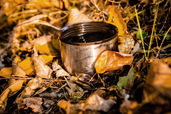 Taza de té —  Fotos de Stock