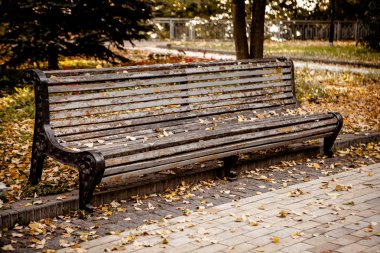 Sonbahar parkında tezgah.