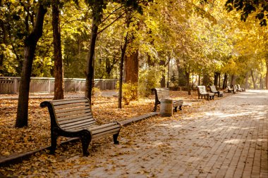 sonbahar Park banklar