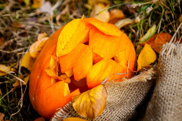 Abóbora em folhas de outono — Fotografia de Stock