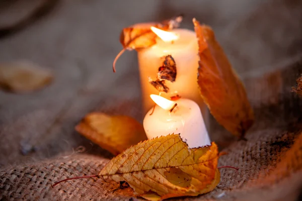 Prachtige natuurlijke decor voor herfst vakantie — Stockfoto