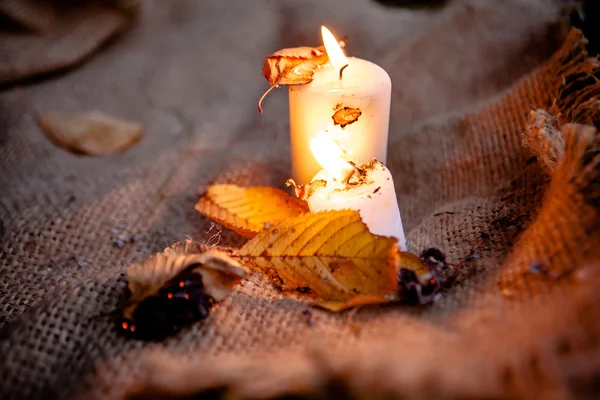 Schöne natürliche Dekoration für den Herbsturlaub — Stockfoto