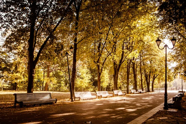 Ławki w parku jesień — Zdjęcie stockowe