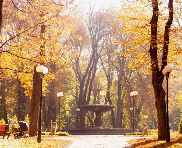 Herfst wandelpad in herfst park — Stockfoto