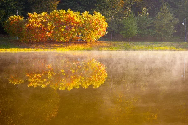 See im Frühherbstmorgen — Stockfoto