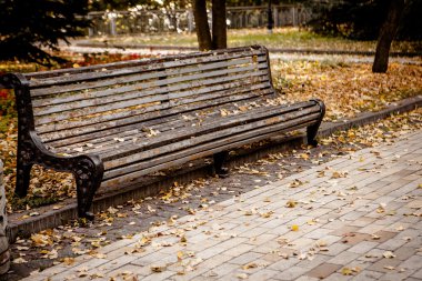 Sonbahar parkında tezgah.