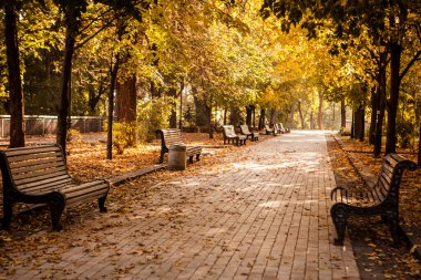 sonbahar Park banklar