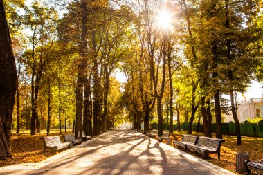 Sonbahar Park banklar satırı
