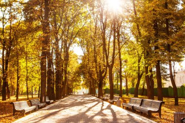 Sonbahar Park banklar satırı