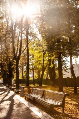 Sonbahar Park banklar satırı