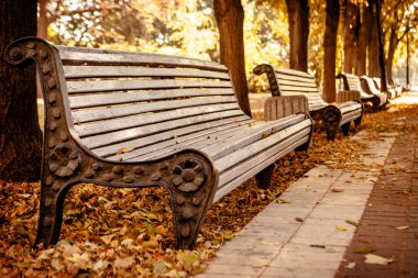 Sonbahar Park banklar satırı