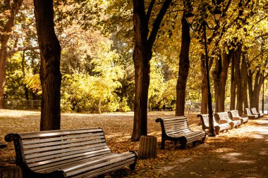 Sonbahar Park banklar satırı