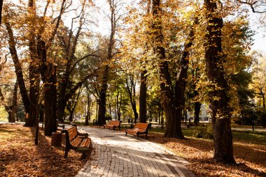 sonbahar yürüme yolu