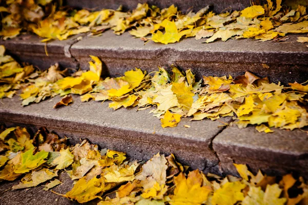 Sten trappa bana med fall blad — Stockfoto