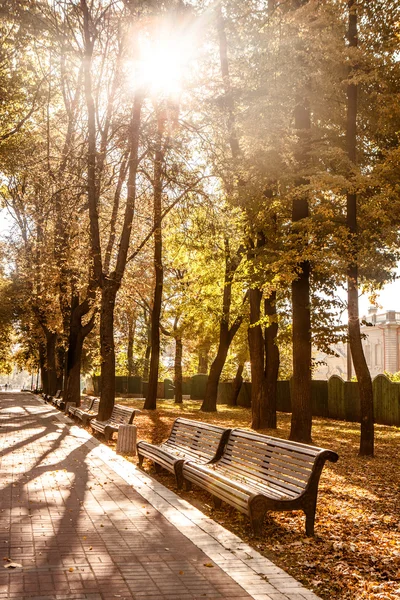 Wiersz z ławki w parku jesień — Zdjęcie stockowe