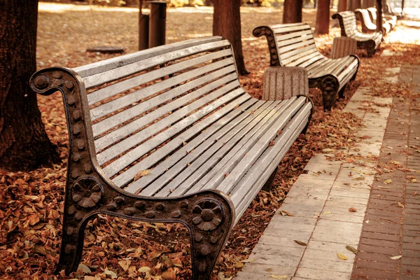 Ряд скамеек в осеннем парке — стоковое фото