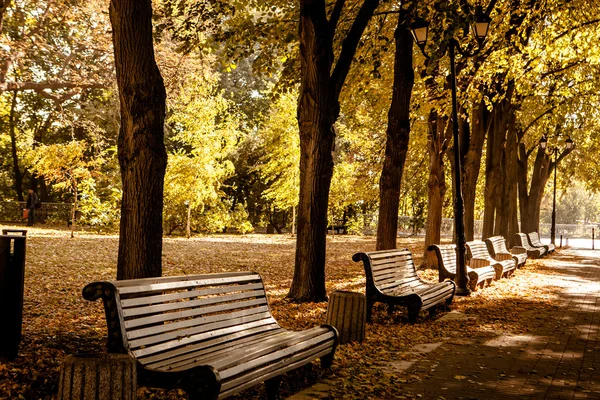 Sitzreihe im Herbstpark — Stockfoto