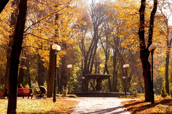 Jesienny chodnik — Zdjęcie stockowe