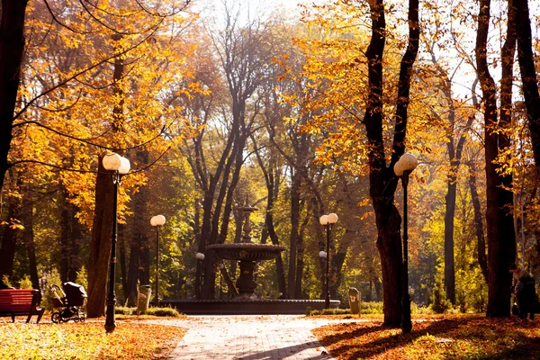 Jesienny chodnik — Zdjęcie stockowe