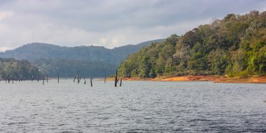 Lake Periyar Milli Parkı'nda