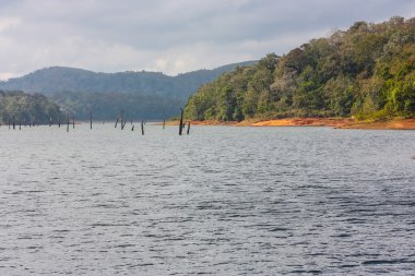 Lake Periyar Milli Parkı'nda