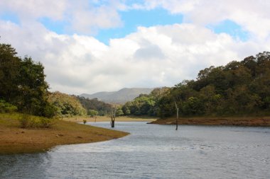 Lake Periyar Milli Parkı'nda
