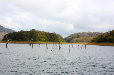 Lake Periyar Milli Parkı'nda
