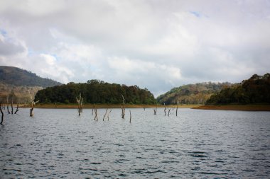 Lake Periyar Milli Parkı'nda