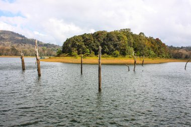 Lake Periyar Milli Parkı'nda