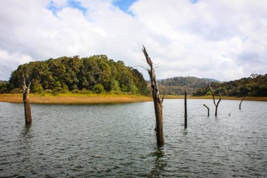 Lake Periyar Milli Parkı'nda